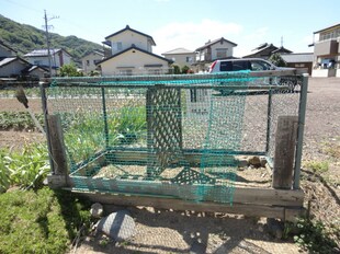 シェモワ国分A棟の物件内観写真